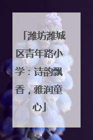 潍坊潍城区青年路小学：诗韵飘香，雅润童心